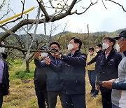 전남 '4월 이상저온' 농작물 피해 3200㏊