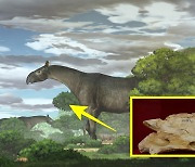 [핵잼 사이언스] 무게 21t톤 '육지 최대 포유류' 화석 中서 발굴