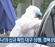 코로나19 신규 확진 대구 16명·경북 6명