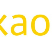 Kakao rises to Korea's 5th largest biz group