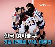 한국 여자배구 3승 12패로 VNL 마무리..올림픽까지는 한 달[카드뉴스]