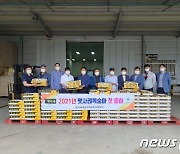 이천시 대표 농산물 '햇사레 복숭아' 첫 출하..2.5kg 60박스