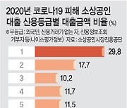 소상공인 대출금 1~3등급에 쏠려.. 돈 급한 저신용자 '눈물'