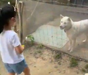 '기성용♥' 한혜진, 딸 벌써 7살..예쁜 딸 보며 "열심히 잘살아야지"