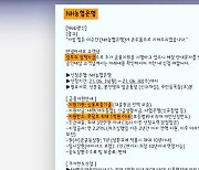 [친절한 경제] "XX은행, 무담보 최대 1억" 교묘한 문자, 안 속으려면?