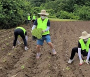 강원농협, 대학생과 함께하는 농촌일손돕기 펼쳐