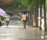 [날씨] 전국 요란한 소나기..밤사이 충북·남부 국지성 호우
