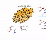 항생제 원료 'D-트레오닌'..저가로 고순도 대량생산한다