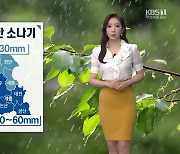 [날씨] 대전·세종·충남 내일 새벽까지 '강한 소나기'..천둥·번개·우박 유의