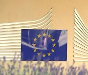 EU, '항공기 강제 착륙' 벨라루스 경제제재 합의