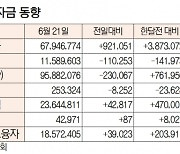 [표]증시 주변 자금 동향(6월 21일)