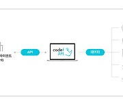 [2021 상반기 인기상품]품질우수-코드에프/응용프로그램 인터페이스/'CODEF API'