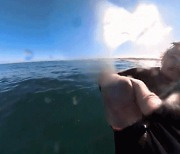 [영상] "숨 멎는 줄 알았다"..카메라에 포착된 상어 '아찔'