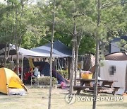[청주소식] 문암생태공원 캠핑장 7월 운영재개