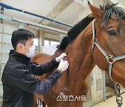 말의 전염병, 옛날옛적부터 국가의 중대사였다!