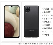 서울시, 월 1만9천원 '어르신 스마트폰' 25일부터 보급