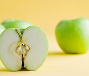 두통·구토 일으키는 위험한 '과일 씨앗'은?