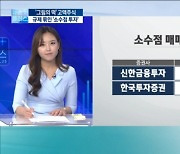 소수점 투자, 증시 불쏘시개 될까..규제 완화는 '하세월' ['그림의 떡' 고액주식]