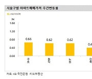 서울 아파트값 5주연속 0.3%대 올라..상승세 '여전'