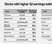 Korean Inc expected to perform better, domestic-focus stocks to benefit