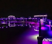 '핫플레이스' 신안 퍼플섬, 9월말까지 야간개장