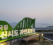 '인기 짱' 신시도자연휴양림..성수기 사전예약 11.6대 1