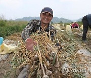 전북도, 베트남 계절 근로자 모셔온다..농촌 인력난 해소 기대