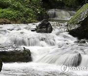 무등산국립공원 도원계곡 여름철 일부 개방..수영·취사는 금지