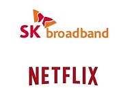 SKB "법원, 넷플릭스 망 이용대가 부담 의무 인정"