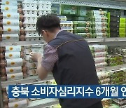 충북 소비자심리지수 6개월 연속 상승