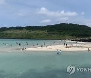 피서객으로 활기 찬 함덕 해변