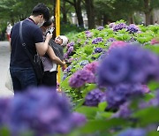 [오늘의 날씨] 울산(26일, 토)..흐리고 미세먼지 보통