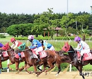 정부, 거리두기 개편..내달 2일부터 경마장 단계적 개방