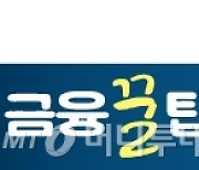 [금융꿀팁]사회초년생 노리는 '중고차 대출 사기' 수법