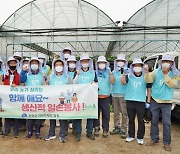 [진천소식] 기관·단체장들 농촌일손돕기 등