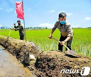 북한 "현시기 재해성 이상기후 막는 것은 중요한 요구"