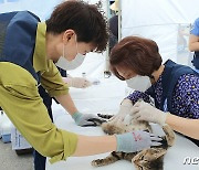 중성화 앞둔 고양이 털 밀고 있는 한정애 장관과 박수홍