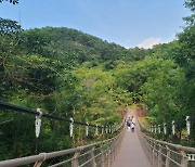 연천군 한탄강 세계지질공원 관광활력 '시동'