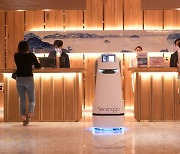 Hotel robot