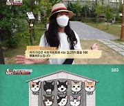 '동물농장' 길고양이 위한 펜트하우스 '빵돔하우스' 무법자 등장에 전전긍긍