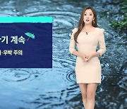 [날씨] 전국 곳곳 소나기 계속..'서울 29도' 더워요