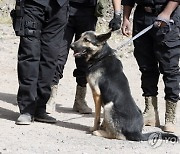 YEMEN DRUG SNIFFER DOGS