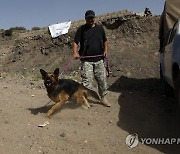 YEMEN DRUG SNIFFER DOGS