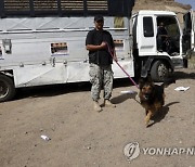 YEMEN DRUG SNIFFER DOGS