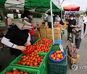 올림픽공원에서 열린 농산물 직거래 장터