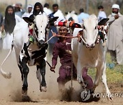 PAKISTAN BULL RACE