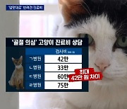 동물병원 고무줄 의료비.."같은 증상도 부르는 게 값"