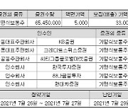 "SKIET보다 많다"..카카오뱅크, 외국계 배정물량 48% 달해