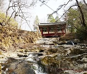 올 여름은 곡성 여기愛! '태안사 숲멍'하며 힐링!