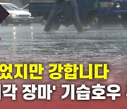 [뉴있저] 39년 만에 가장 늦은 '지각장마'..올해 장마는 언제쯤?